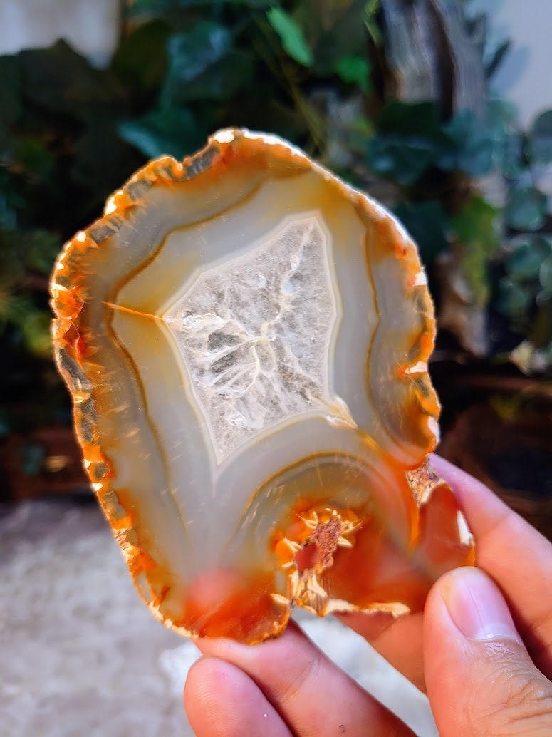 4" Iris Agate Slice from Indonesia for Gemstone Home and Altar Decor/ Crystal Healing and Reiki