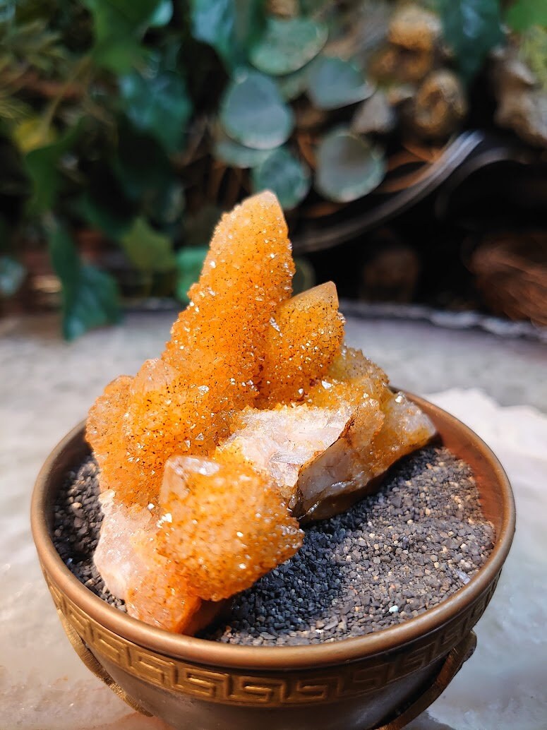 Sunshine Spirit Quartz Cluster from ZA / 100.7g / Golden Healer Cactus Quartz for Crystal Healing / Meditation/ Reiki / Natural / Gifting