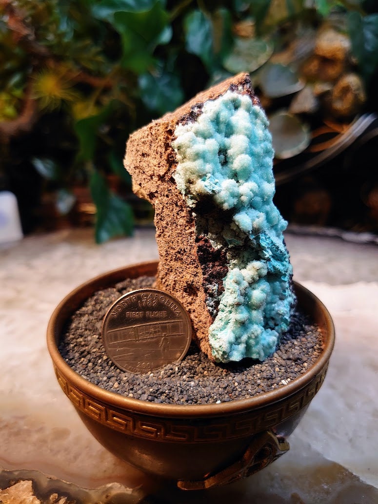 Natural Chrysocolla Druzy on Matrix for Home and Altar Decor / 104.4g / Energy Work / Crystal Healing / Collection