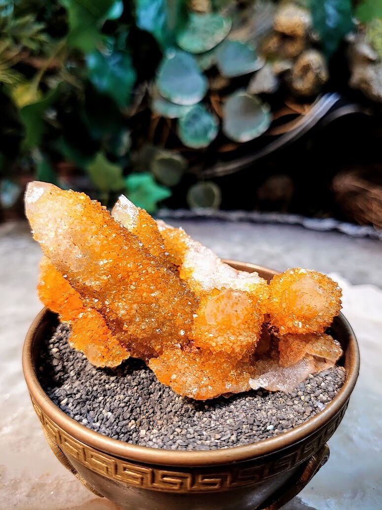 Sunshine Spirit Quartz Cluster from ZA / 100.7g / Golden Healer Cactus Quartz for Crystal Healing / Meditation/ Reiki / Natural / Gifting