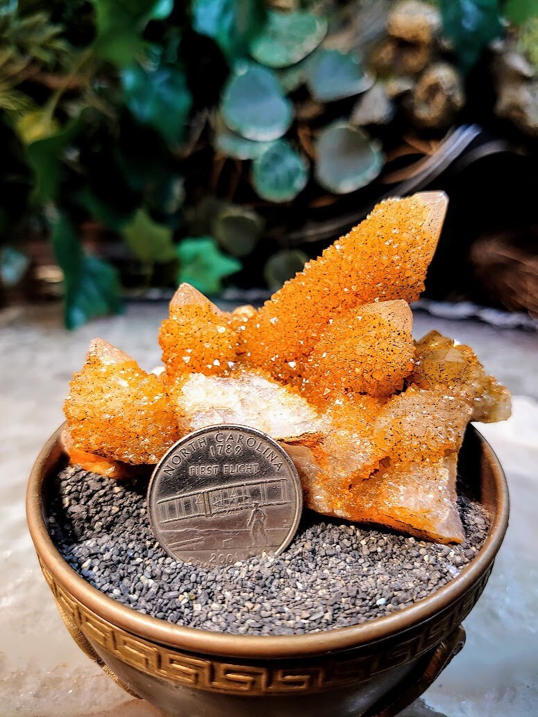 Sunshine Spirit Quartz Cluster from ZA / 100.7g / Golden Healer Cactus Quartz for Crystal Healing / Meditation/ Reiki / Natural / Gifting