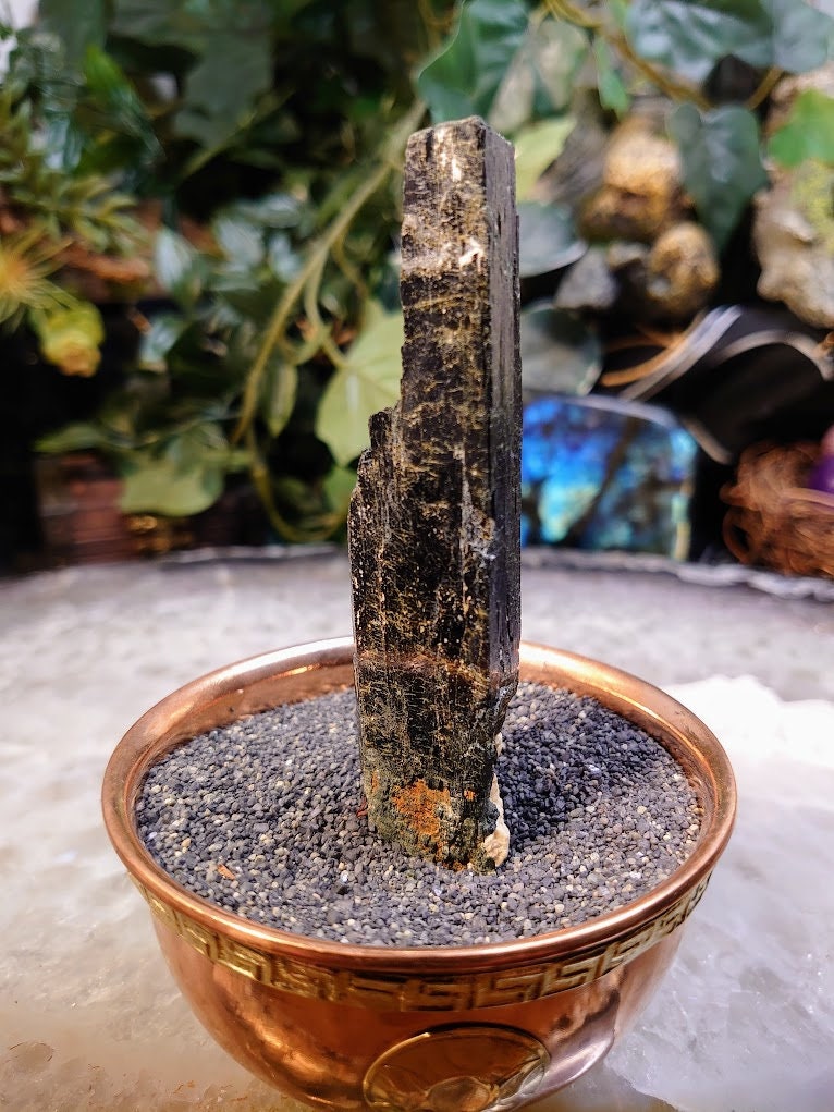 4 1/8" Glossy Black Aegirine Crystal with Feldspar from Malawi, Africa for Crystal Healing / Home and Altar Decor / Negative Protection