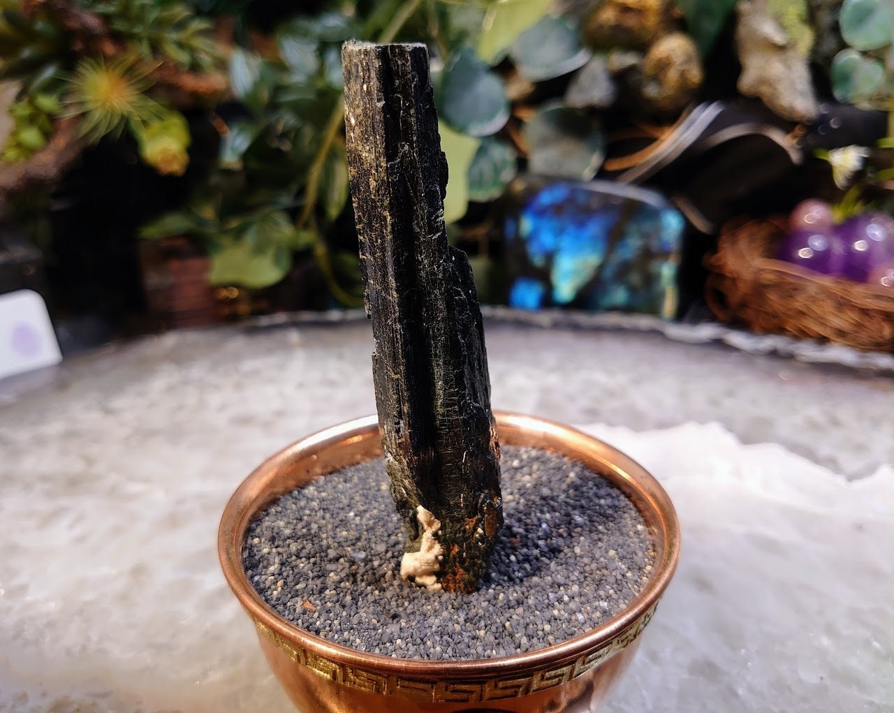 4 1/8" Glossy Black Aegirine Crystal with Feldspar from Malawi, Africa for Crystal Healing / Home and Altar Decor / Negative Protection