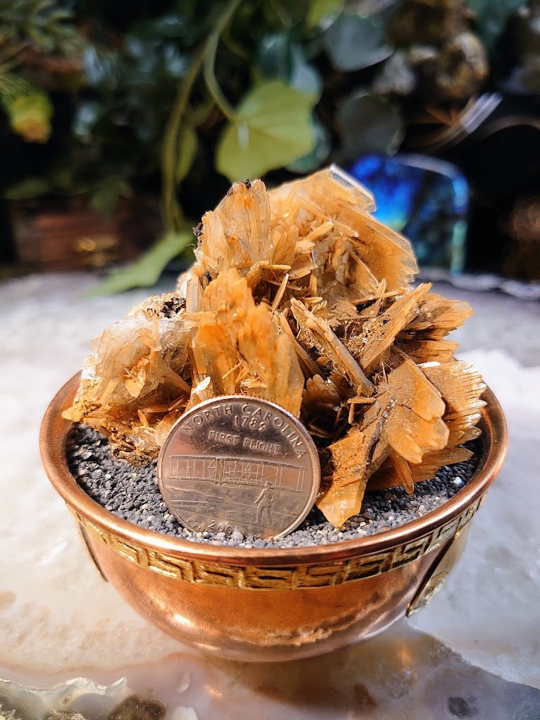 Barite "The Blue Rose" Crystal Flower from Morocco for Home and Altar Decor / 120g / Collection / Crystal Healing
