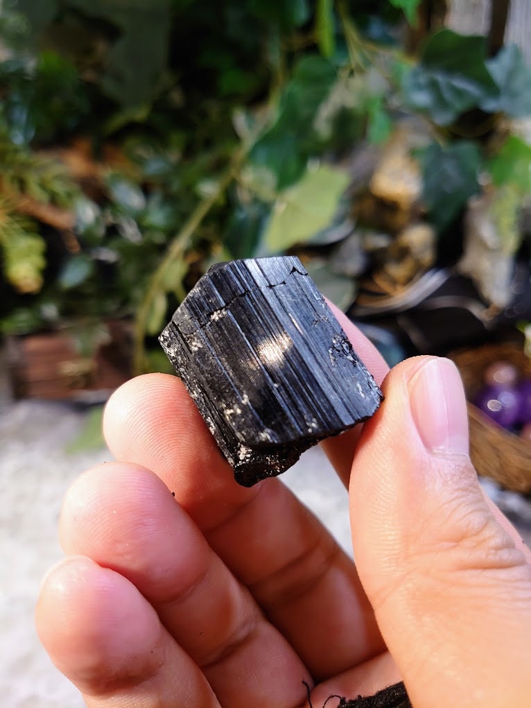 Glossy Black Tourmaline with Termination / Schorl Crystal From Madagascar / 45.94g / Thumbnail Specimen / Desk Decor / Reiki / Collection