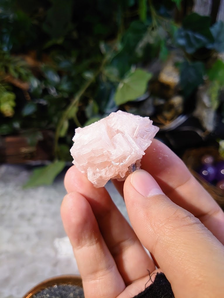 Natural Pink Halite Crystal from California, USA for Crystal Healing / 25.56g / Salt Formation / Altar and Home Decor / Collection
