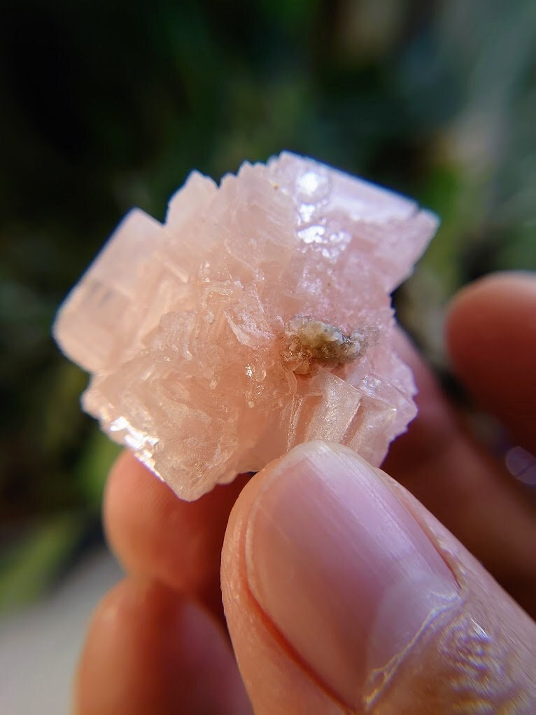 Natural Pink Halite Crystal from California, USA for Crystal Healing / 25.56g / Salt Formation / Altar and Home Decor / Collection