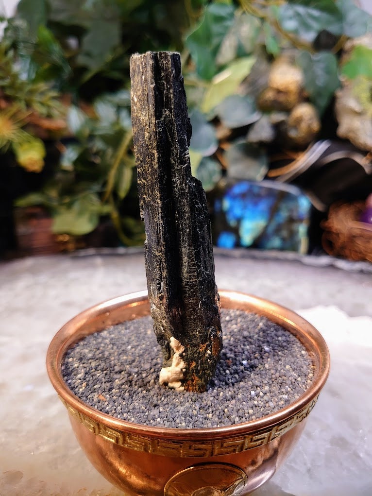 4 1/8" Glossy Black Aegirine Crystal with Feldspar from Malawi, Africa for Crystal Healing / Home and Altar Decor / Negative Protection