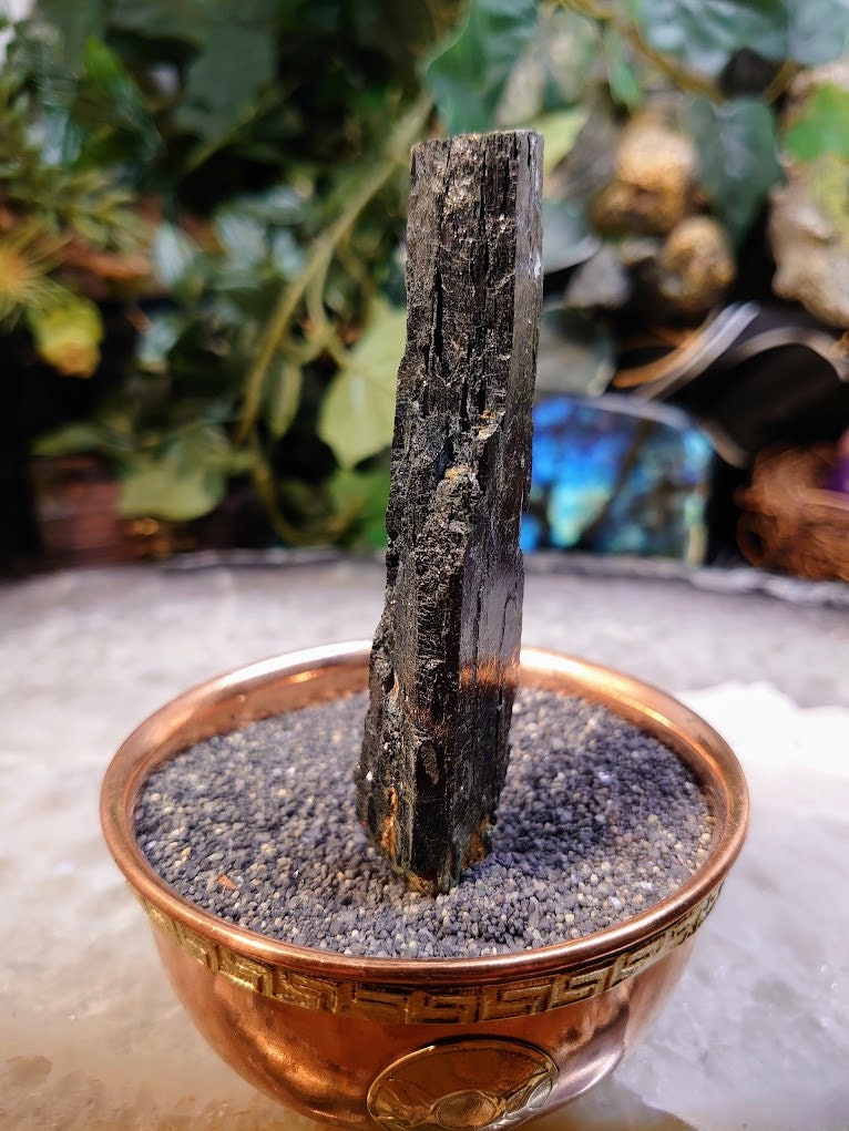 4 1/8" Glossy Black Aegirine Crystal with Feldspar from Malawi, Africa for Crystal Healing / Home and Altar Decor / Negative Protection