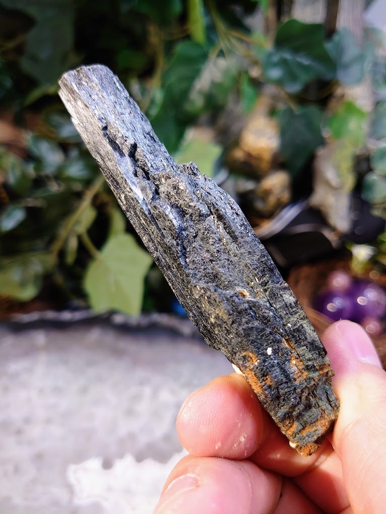 4 1/8" Glossy Black Aegirine Crystal with Feldspar from Malawi, Africa for Crystal Healing / Home and Altar Decor / Negative Protection