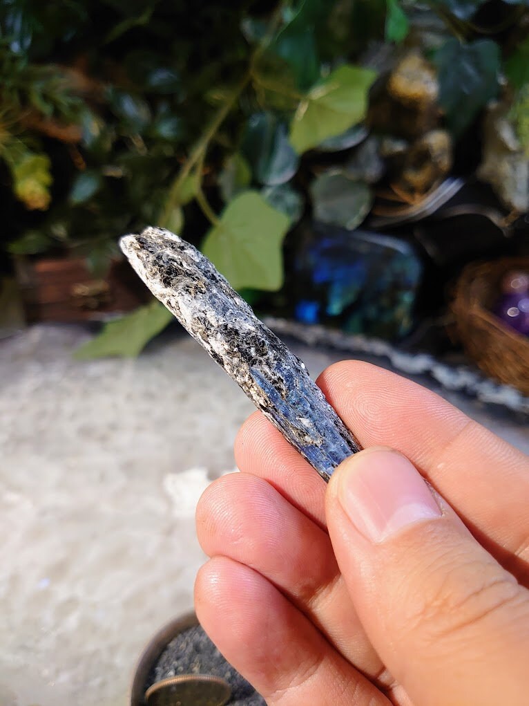 2 5/8" Deep Blue/Indigo Kyanite Crystal from Zimbabwe for Meditation / Grids / Cord Cutting / Metaphysical / Jewelrycrafting