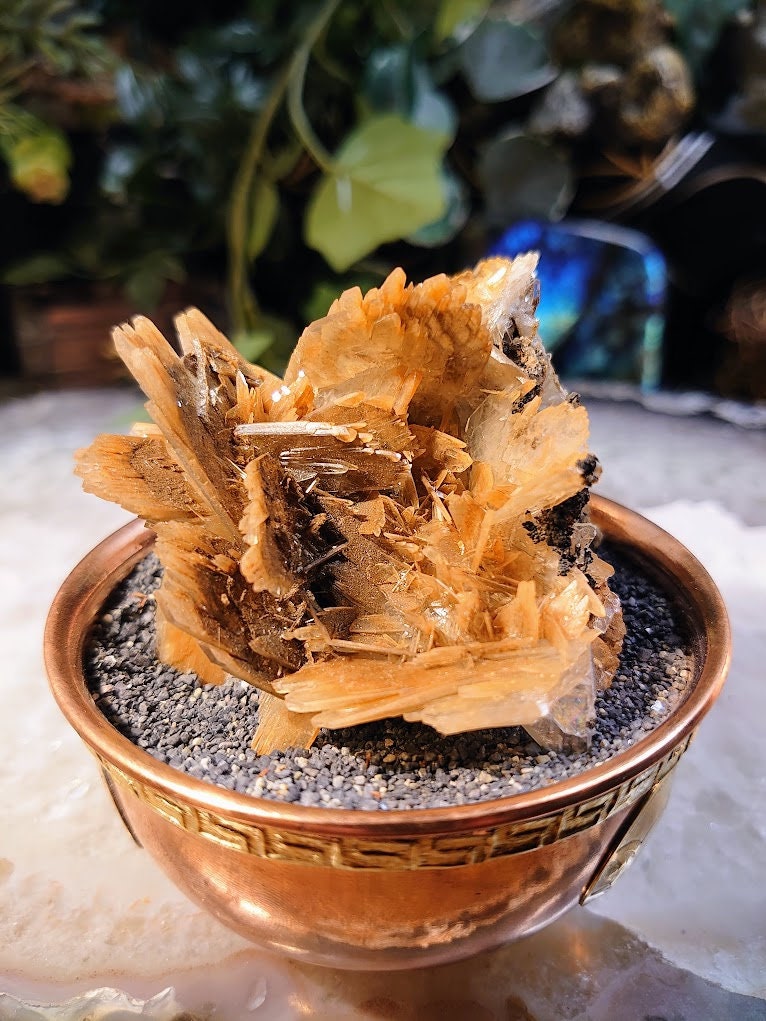 Barite "The Blue Rose" Crystal Flower from Morocco for Home and Altar Decor / 120g / Collection / Crystal Healing