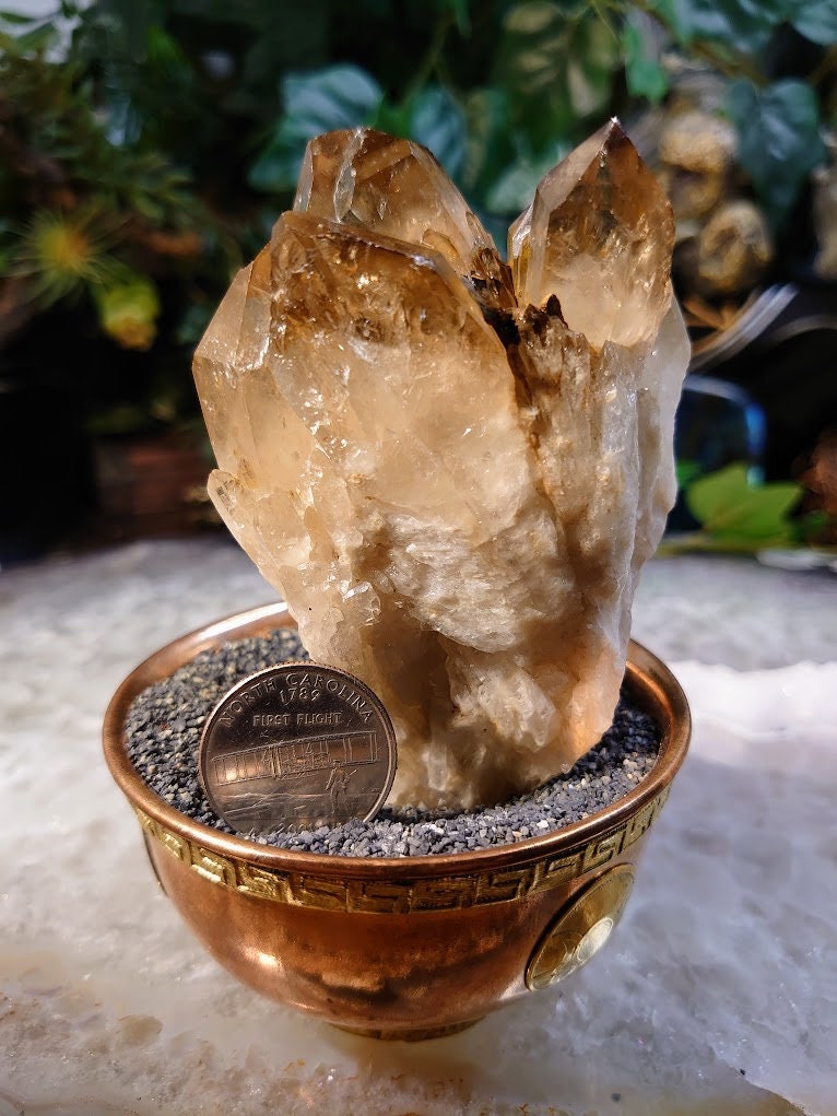 Natural Kundalini Congo Smoky Citrine Cluster on Matrix for Altar and Home Decor / 286g / Energy Work / Crystal Healing / Reiki