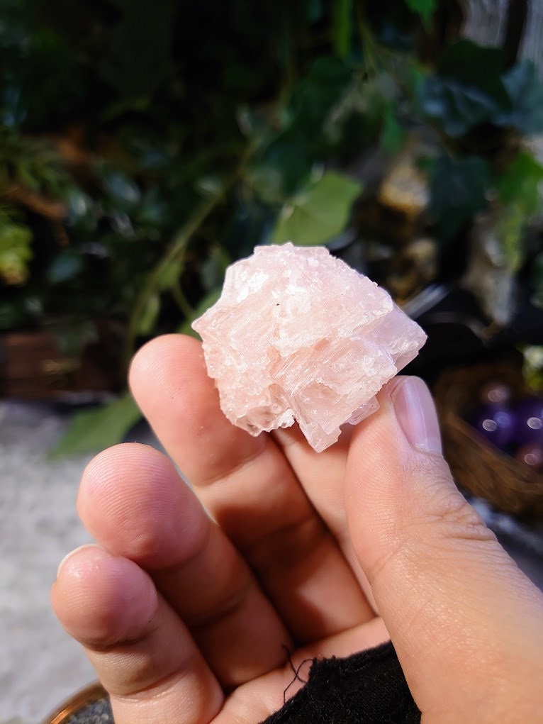 Natural Pink Halite Crystal from California, USA for Crystal Healing / 25.56g / Salt Formation / Altar and Home Decor / Collection
