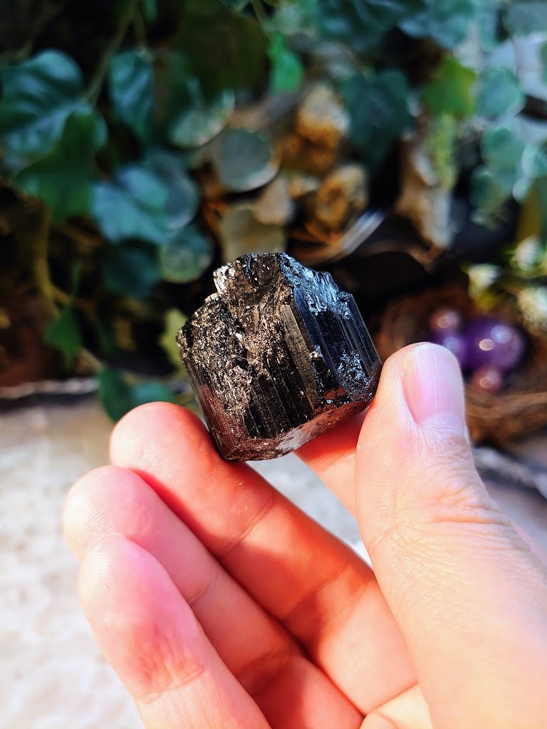 Glossy Black Tourmaline with Termination / Schorl Crystal From Madagascar / 39.30g / Thumbnail Specimen / Desk Decor / Reiki / Collection