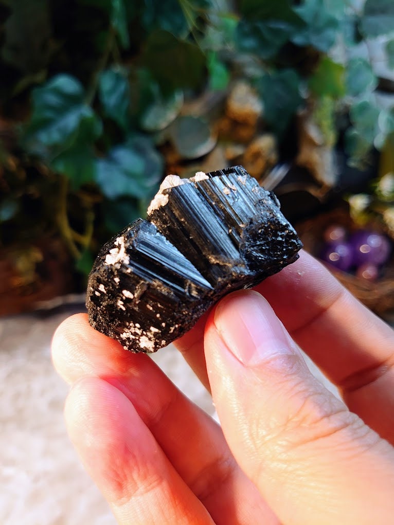 Glossy Black Tourmaline with Termination / Schorl Crystal From Madagascar / 70.04g / Thumbnail Specimen / Desk Decor / Reiki / Collection