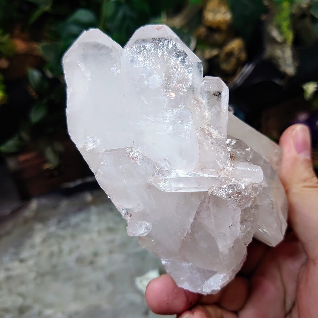 Beautiful Colombian Pink/Clear Quartz Cluster / 530g / Lithium / for Crystal Healing / Home and Altar Decor