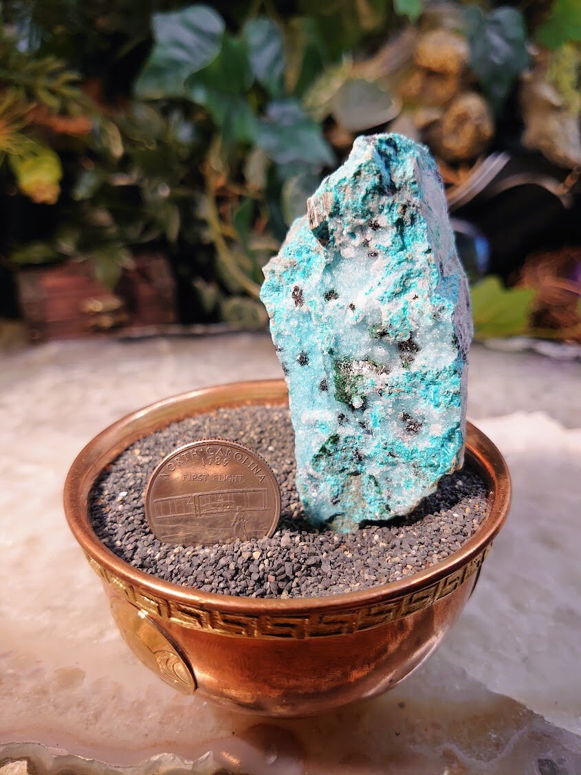 Natural Chrysocolla with Malachite and Druzy on Matrix from Kakanda, Congo for Home and Altar Decor / 122g / Crystal Healing / Collection