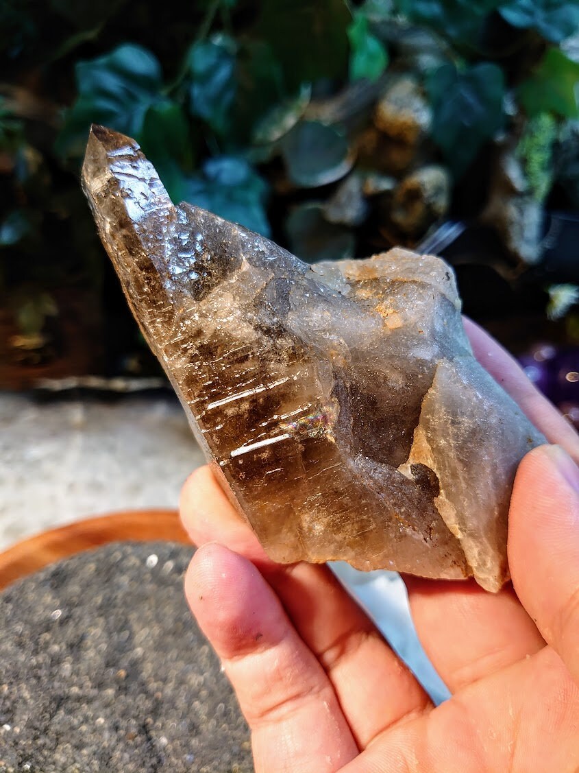 Natural Smoky Quartz Cluster with Tabular Point and Self Healing from Malawi, Africa for Collection / 248g / Home Decor / Protection