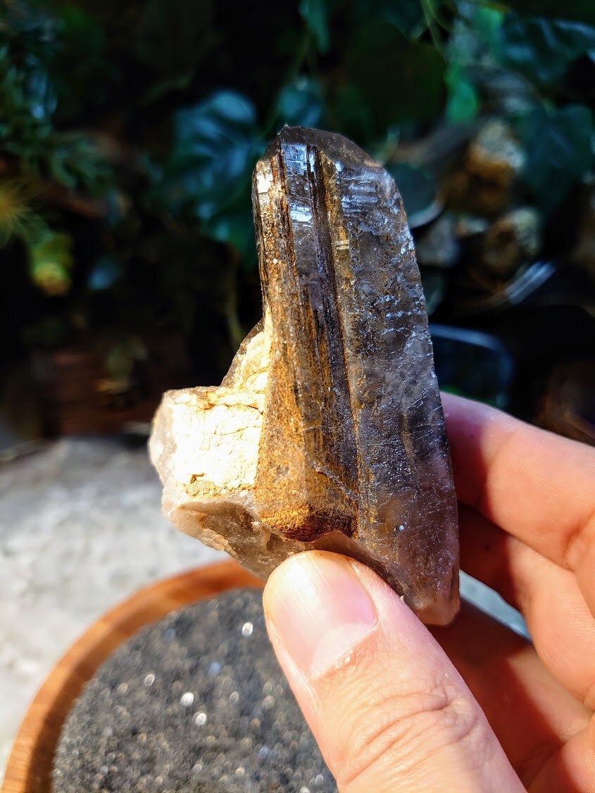 Natural Smoky Quartz Cluster with Tabular Point and Self Healing from Malawi, Africa for Collection / 248g / Home Decor / Protection