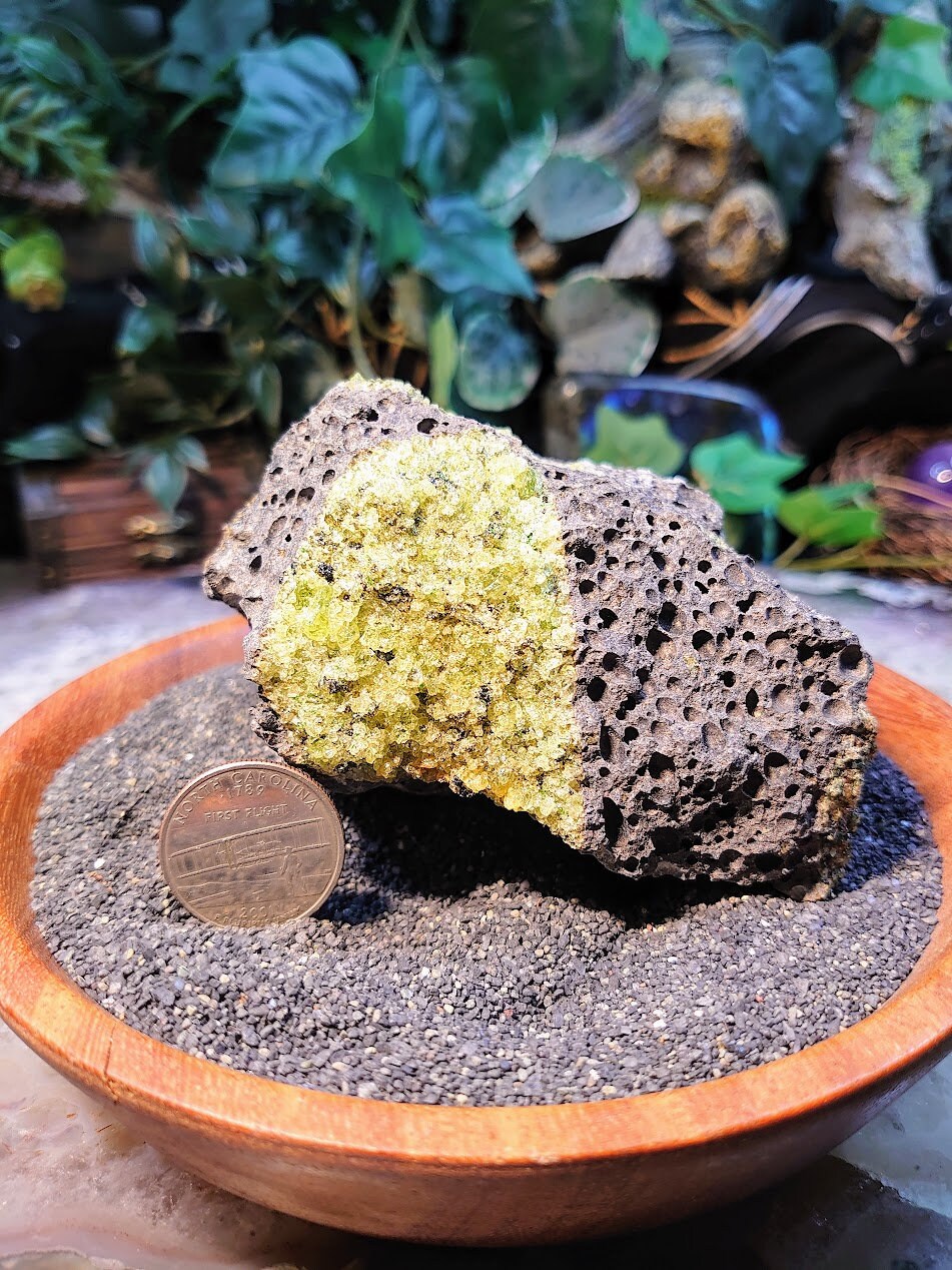 Peridot Druzy with Black Tourmaline on Basalt from Arizona for Home and Altar Decor / 528g / Meditation / Reiki / Gifting / Collection