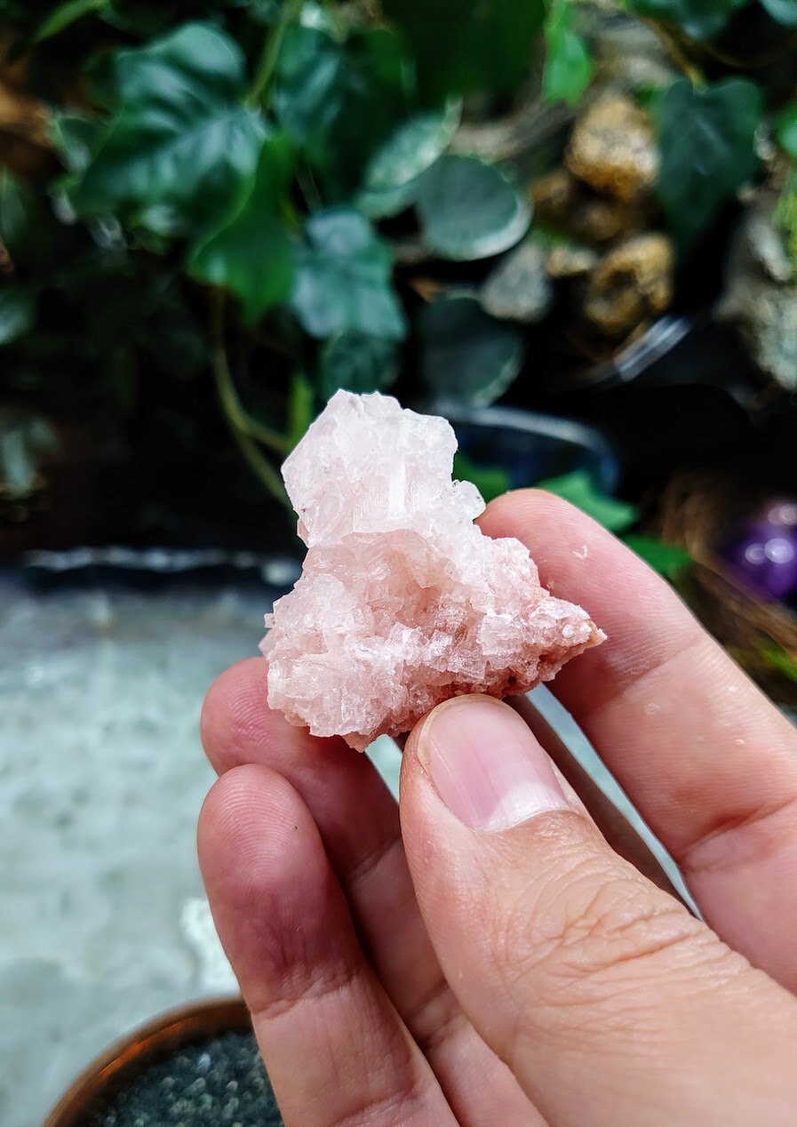 Natural Pink Halite Crystal from California, USA for Crystal Healing / 21.97g / Salt Formation / Altar and Home Decor / Collection