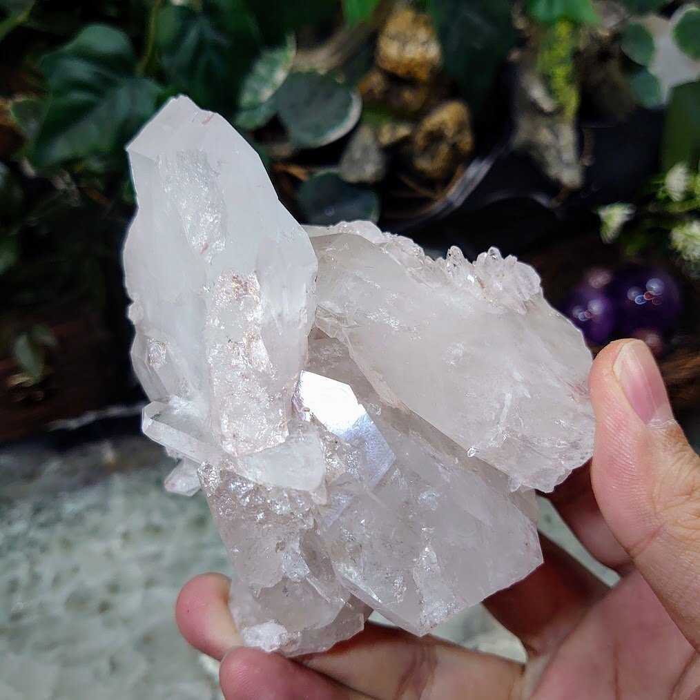 Beautiful Colombian Pink/Clear Quartz Cluster / 530g / Lithium / for Crystal Healing / Home and Altar Decor