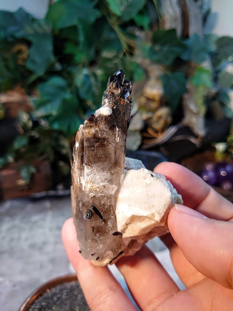 Natural Smoky Quartz Crystal with Aegirine Rods and Black Tips on Feldspar Matrix from Malawi, Africa for Collection / 146g / Morion Quartz