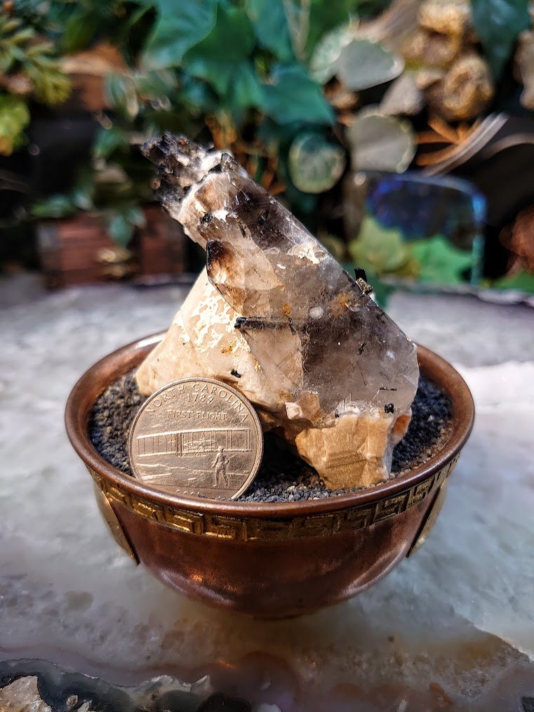 Natural Smoky Quartz Crystal with Aegirine Rods and Black Tips on Feldspar Matrix from Malawi, Africa for Collection / 146g / Morion Quartz