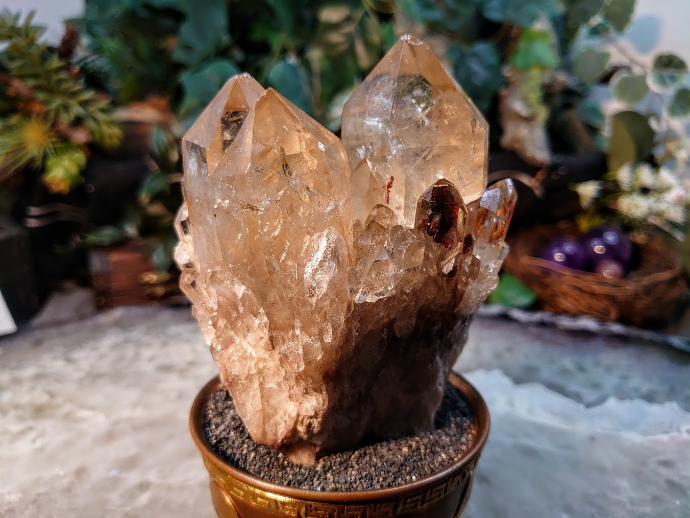 Beautiful Natural Kundalini Congo Citrine Cluster for Altar and Home Decor / 564g / Energy Work / Crystal Healing / Cabinet Size Class