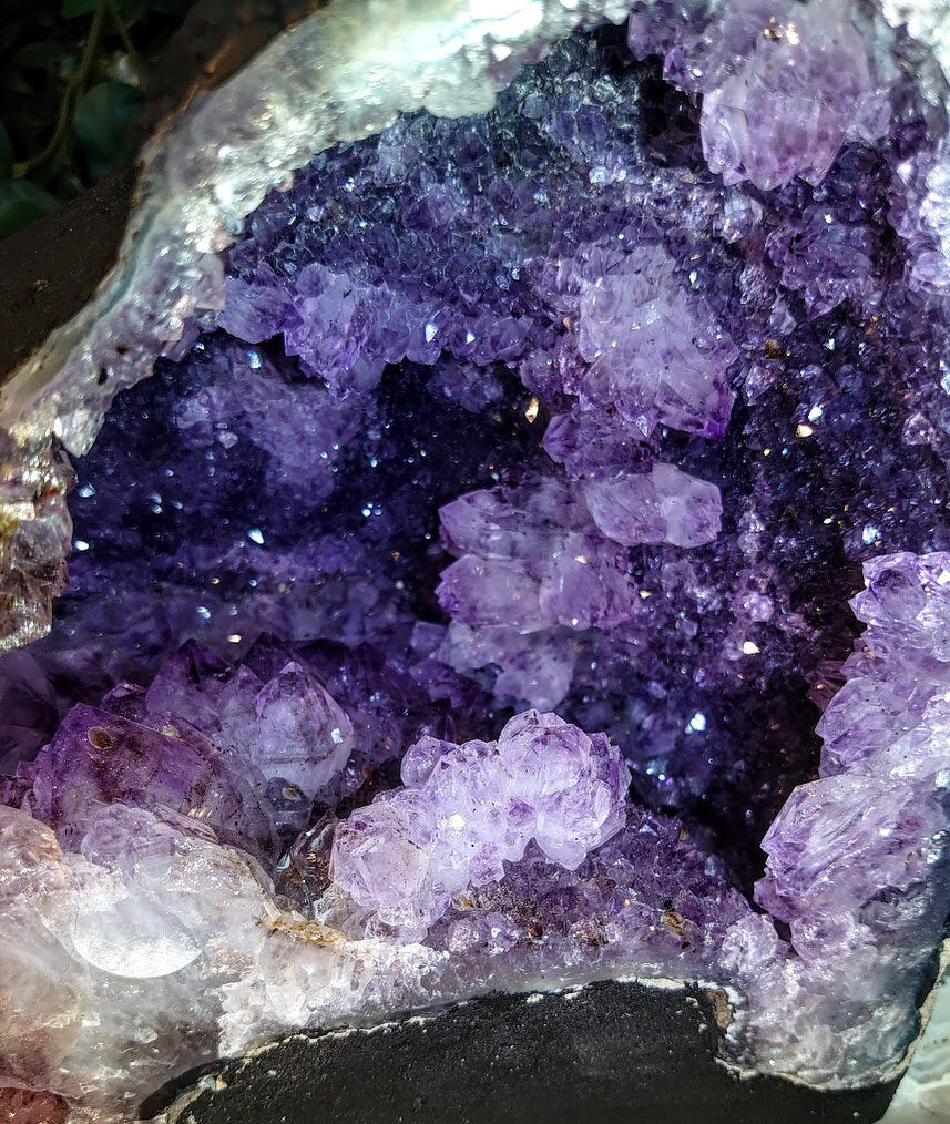 Epic Large Amethyst Geode Cathedral from Brazil for Collection / 8,854g / Gifts / Altar Decor / Delicious Prism Grapes / Large Museum Size