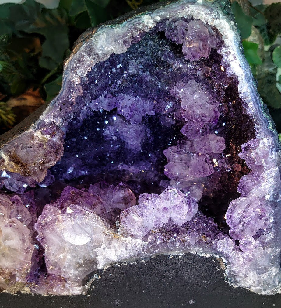 Epic Large Amethyst Geode Cathedral from Brazil for Collection / 8,854g / Gifts / Altar Decor / Delicious Prism Grapes / Large Museum Size