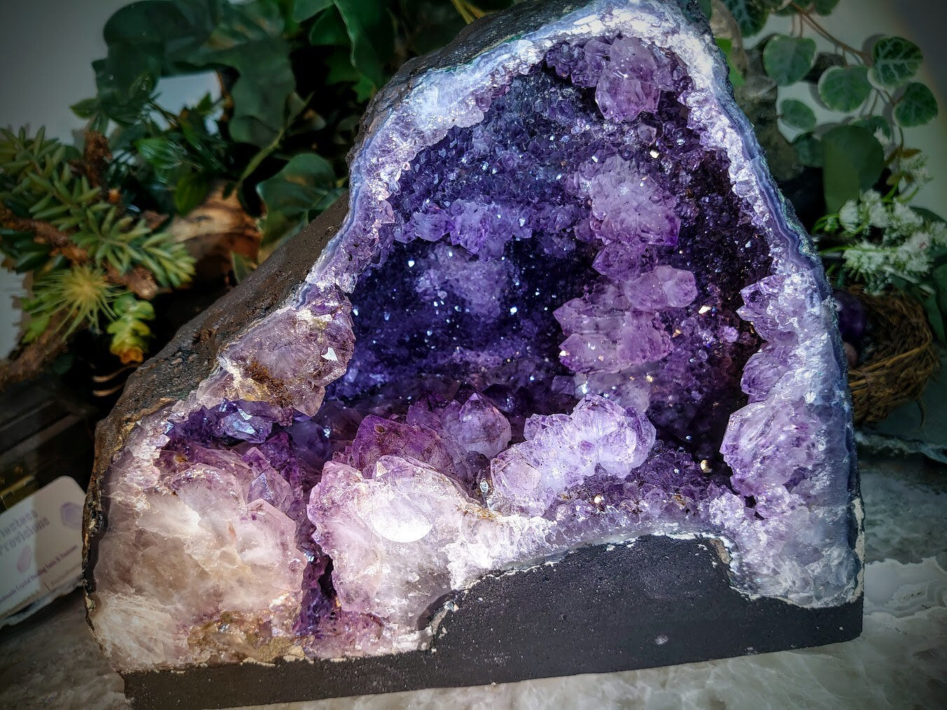 Epic Large Amethyst Geode Cathedral from Brazil for Collection / 8,854g / Gifts / Altar Decor / Delicious Prism Grapes / Large Museum Size