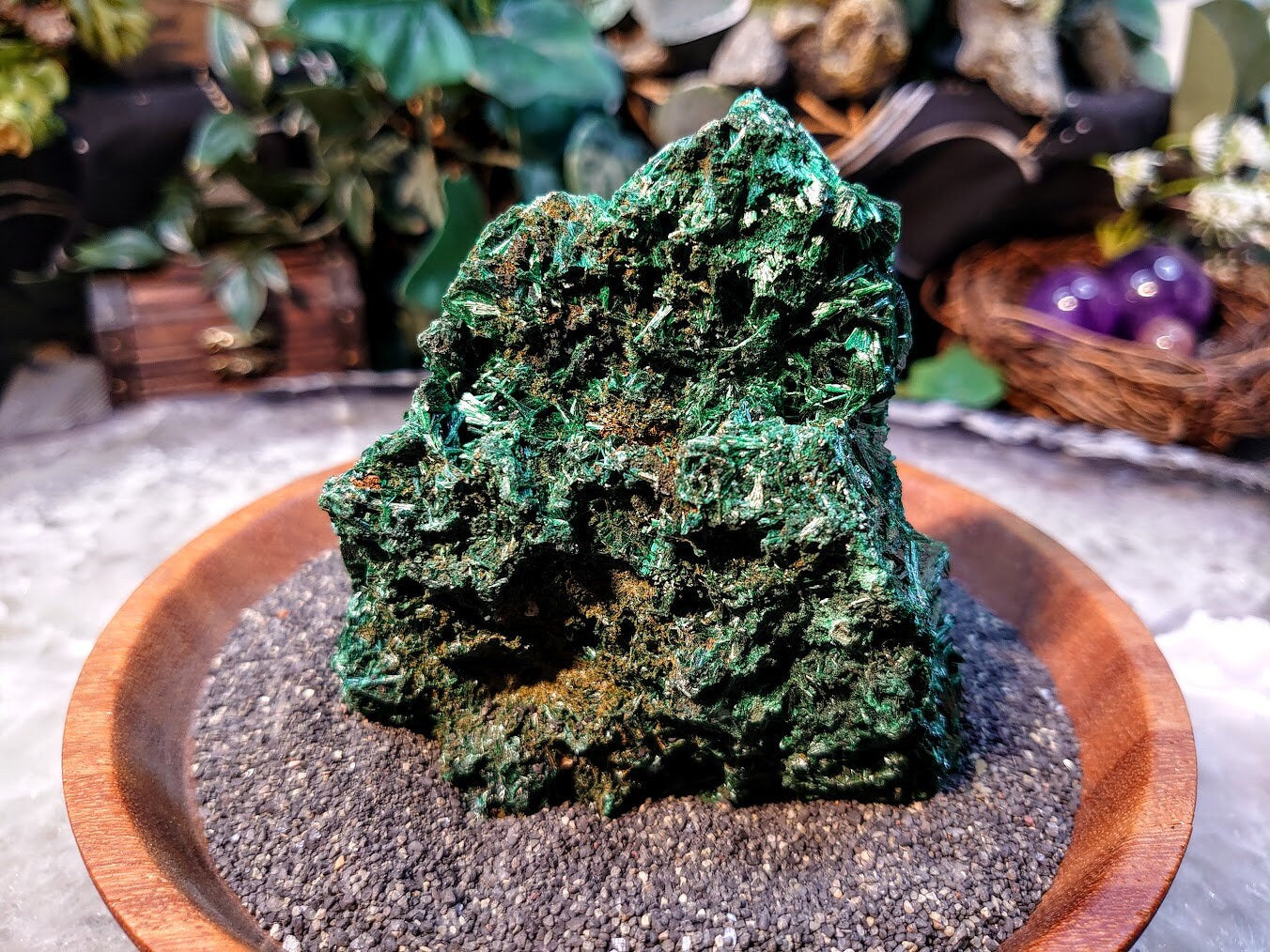 Silky Fibrous Malachite Specimen from Kasompe, Congo for Home and Altar Decor / 297g / Collection / Crystal Healing / Small Cabinet Size