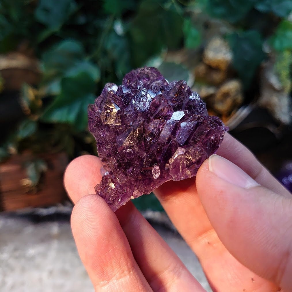 Dark Amethyst Water Etched Cluster from Karur, India for Meditation / 55.96g / Collection / Altar Decor