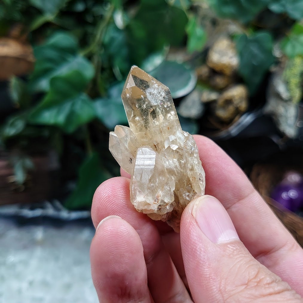 Small Natural Kundalini Congo Citrine Cluster for Altar & Home Decor / 26.22g / Energy Work / Crystal Healing / Miniature Class