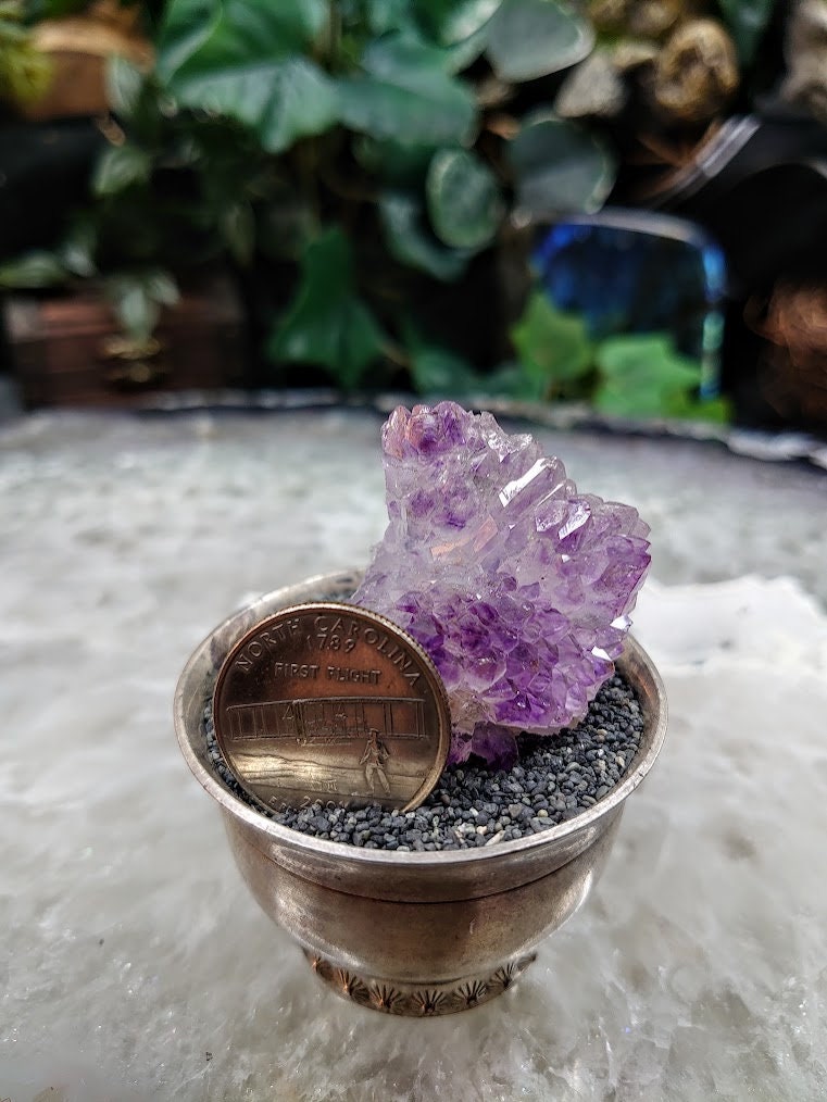 Amethyst Cluster from Karur, India for Meditation / 33.10g / Collection / Altar Decor