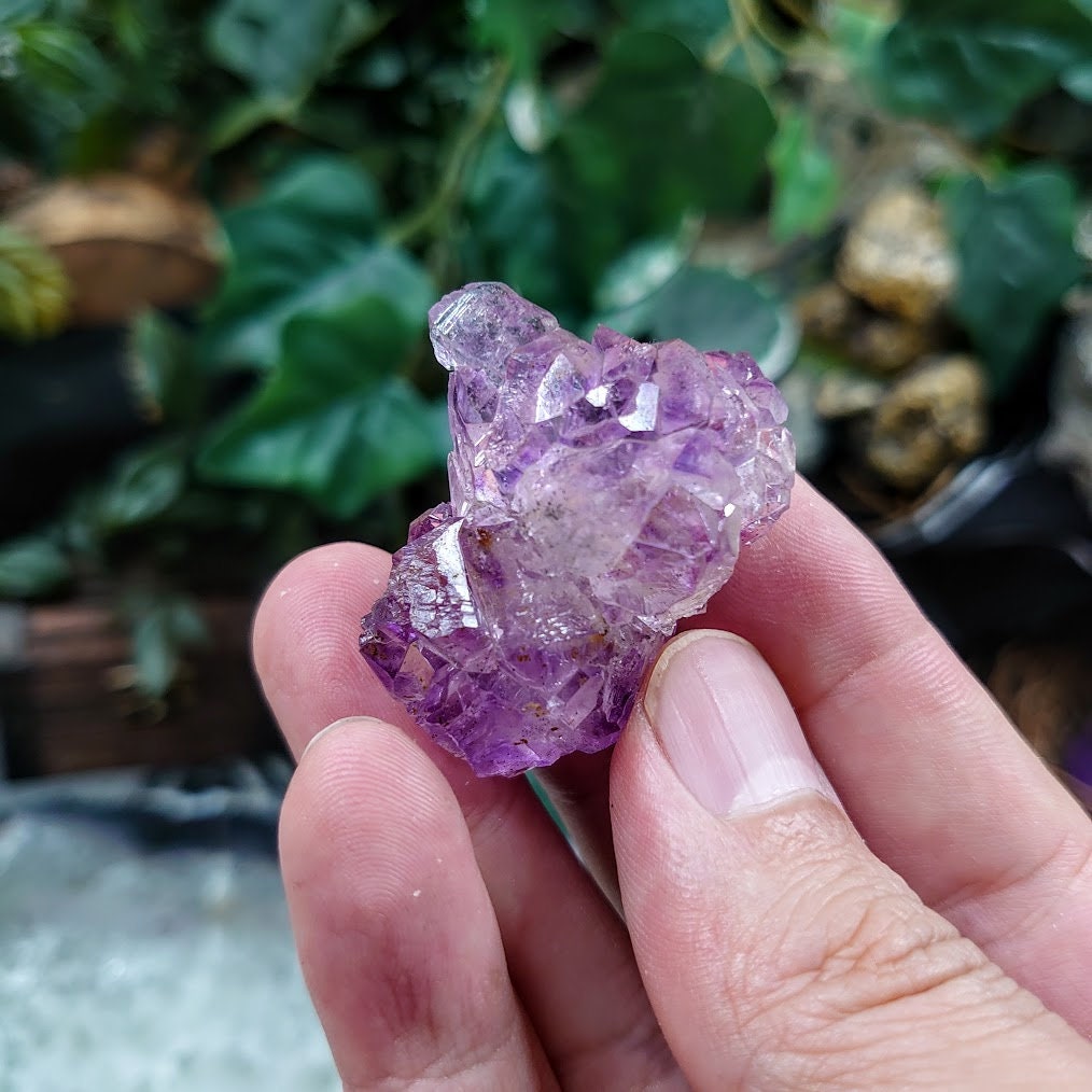 Amethyst Floater Cluster from Karur, India for Meditation / 28.17g / Collection / Altar Decor