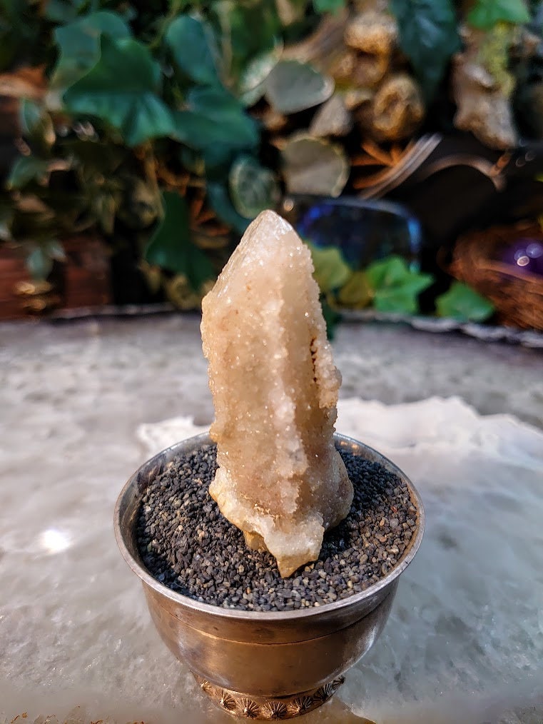 2 1/2" Witch Finger Quartz Cluster from Boekenhouthoek, Mpumalanga, South Africa for Home and Altar Decor / 41.41g / Reiki / Collection