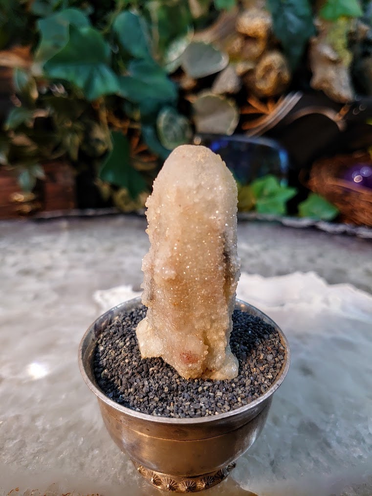 2 1/2" Witch Finger Quartz Cluster from Boekenhouthoek, Mpumalanga, South Africa for Home and Altar Decor / 41.41g / Reiki / Collection