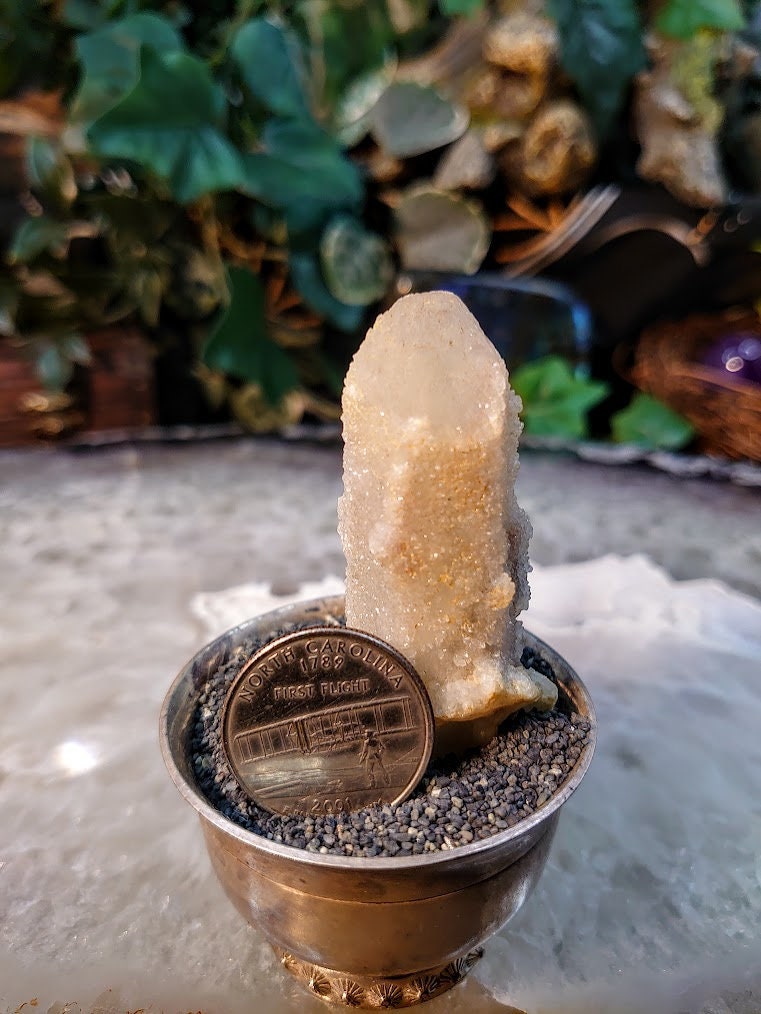 2 1/2" Witch Finger Quartz Cluster from Boekenhouthoek, Mpumalanga, South Africa for Home and Altar Decor / 41.41g / Reiki / Collection