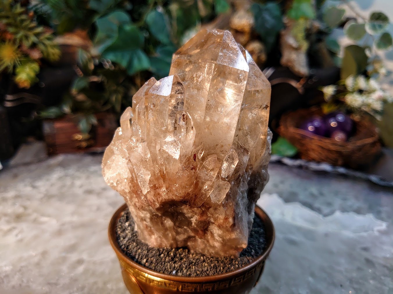 Beautiful Natural Kundalini Congo Citrine Cluster for Altar and Home Decor / 564g / Energy Work / Crystal Healing / Cabinet Size Class