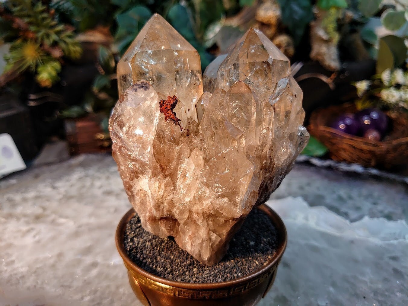 Beautiful Natural Kundalini Congo Citrine Cluster for Altar and Home Decor / 564g / Energy Work / Crystal Healing / Cabinet Size Class