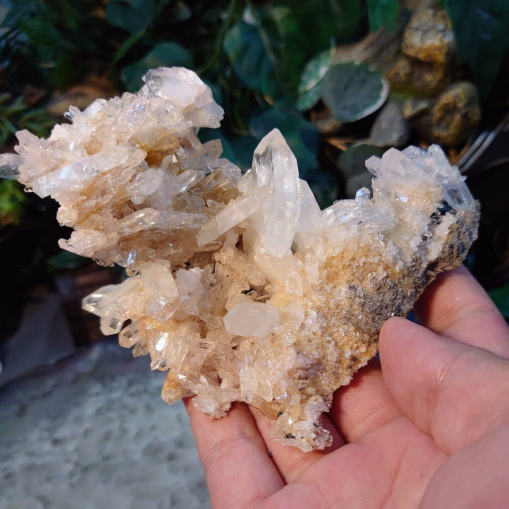 Gorgeous Colombian Clear Quartz/Citrine Tabular Cluster / 272g / Dragon Slaying Powers / Meditation / Home & Altar Decor / Small Cabinet