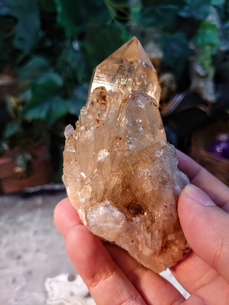 Natural Kundalini Congo Citrine Cluster for Altar and Home Decor / 204g / Energy Work / Crystal Healing / Reiki