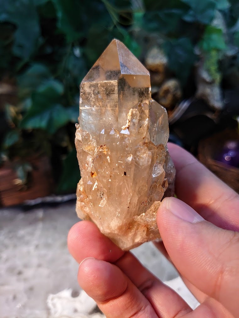 Natural Kundalini Congo Citrine Cluster for Altar and Home Decor / 204g / Energy Work / Crystal Healing / Reiki