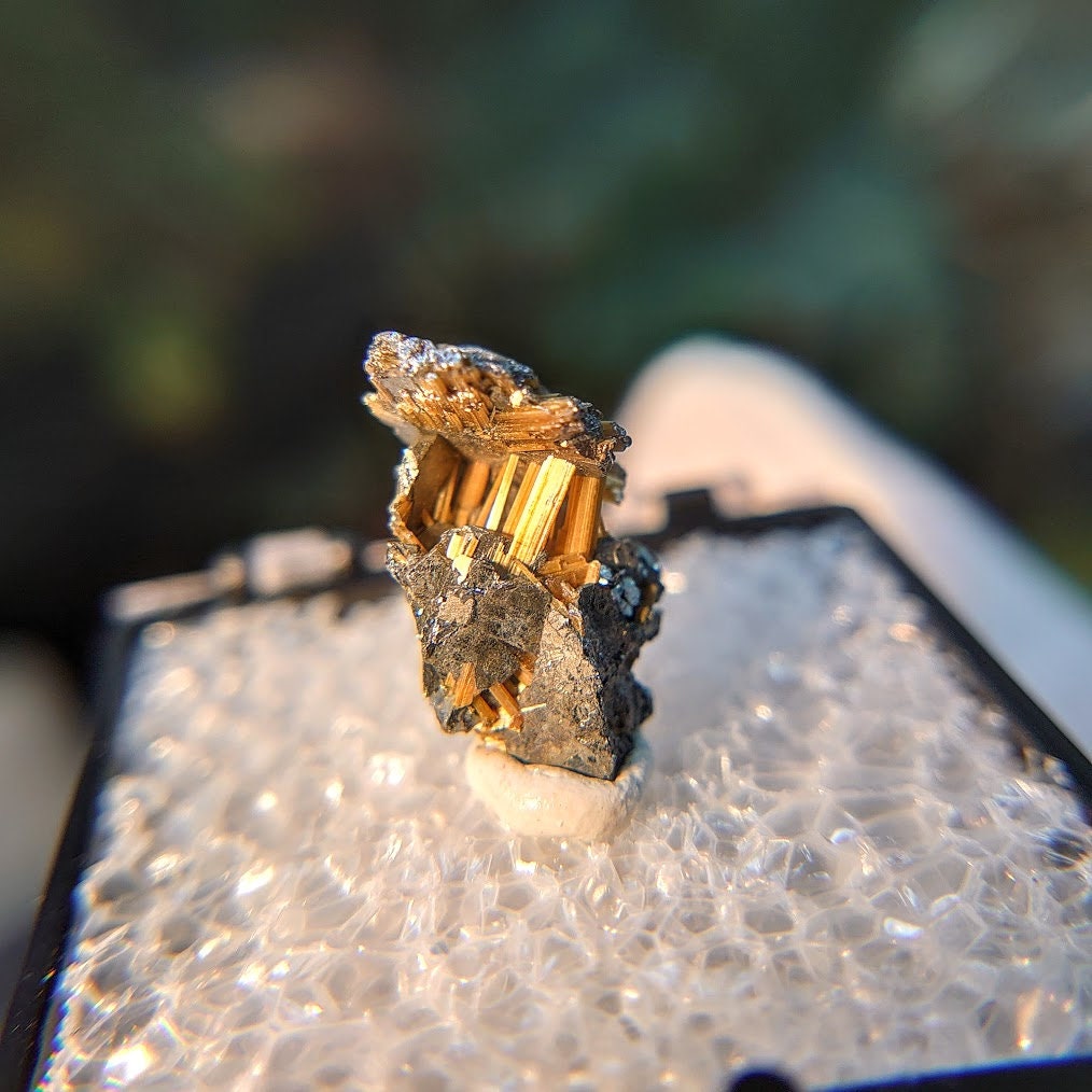 8.85ct Golden Rutile with Hematite from Novo Horizonte, Bahia, Brazil / Thumbnail Size / Collection / Whaaaaaat?!