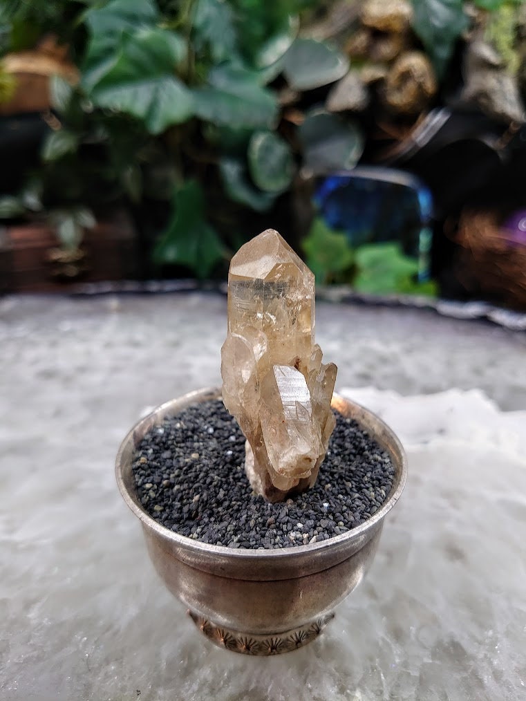 Small Natural Kundalini Congo Citrine Cluster for Altar & Home Decor / 26.22g / Energy Work / Crystal Healing / Miniature Class