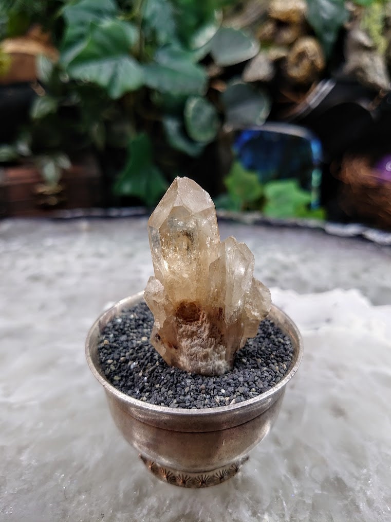 Small Natural Kundalini Congo Citrine Cluster for Altar & Home Decor / 26.22g / Energy Work / Crystal Healing / Miniature Class