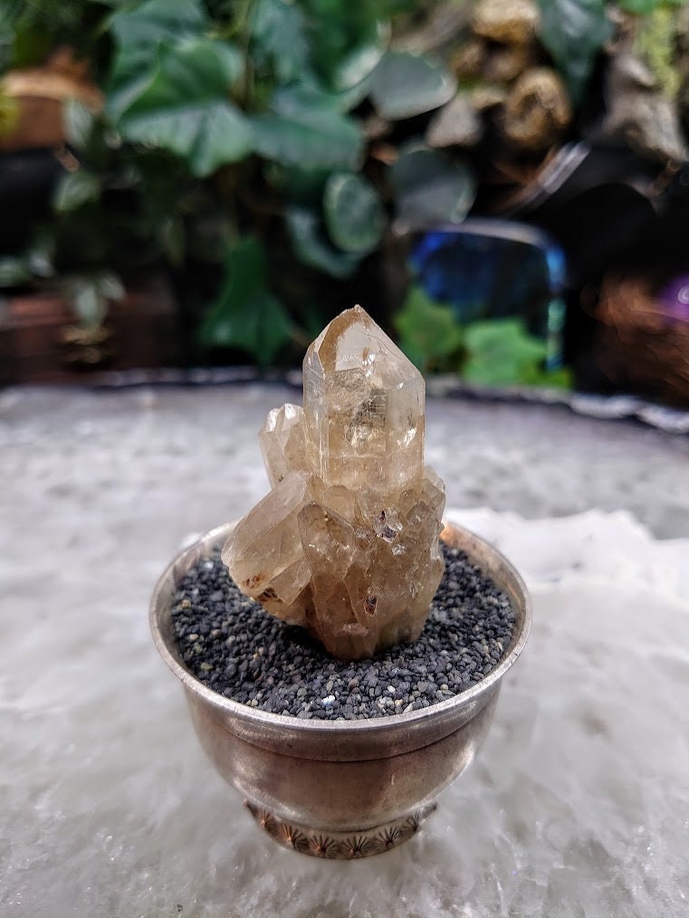 Small Natural Kundalini Congo Citrine Cluster for Altar & Home Decor / 26.22g / Energy Work / Crystal Healing / Miniature Class